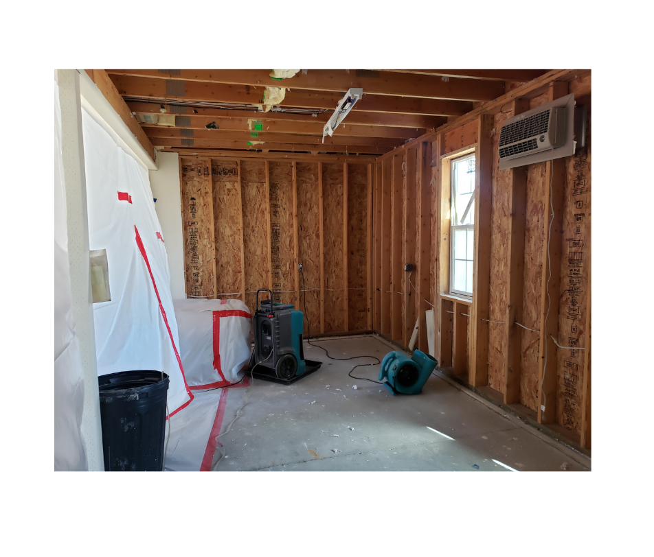 Mold Remediation