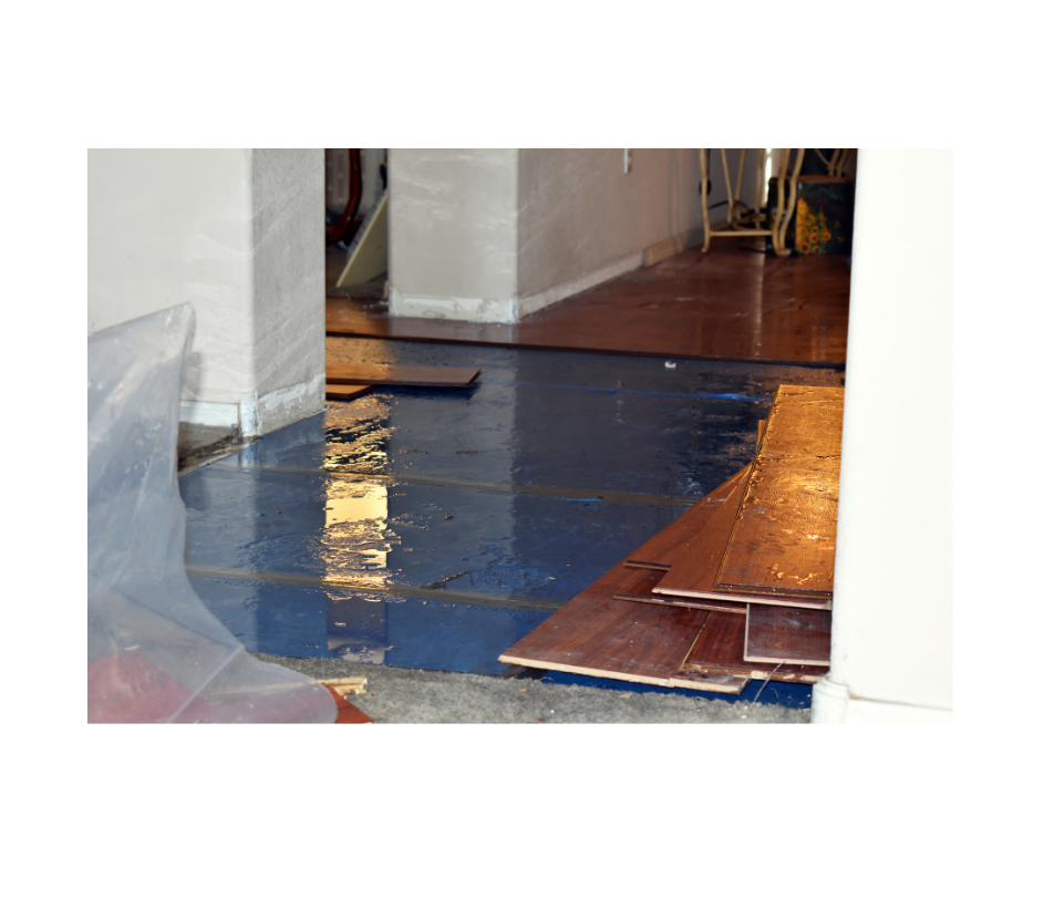 Mod Harbor Restoration technician on a Long Island job site